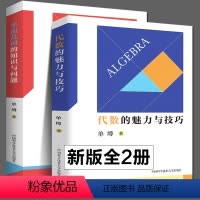 [正版]全2册 代数的魅力与技巧+平面几何的知识与问题中科大初中数学单墫著初一二三解题规律方法与技巧代数789年级20