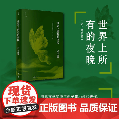 正版 世界上所有的夜晚 迟子建作品 鲁迅文学奖作品 芳草在沼泽中草原布基兰小镇的腊八夜 当代文学短篇小说故事集书