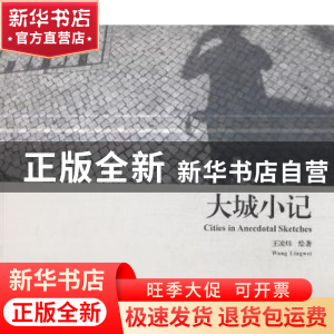正版 大城小记 王凌炜 云南美术出版社 9787548928522 书籍