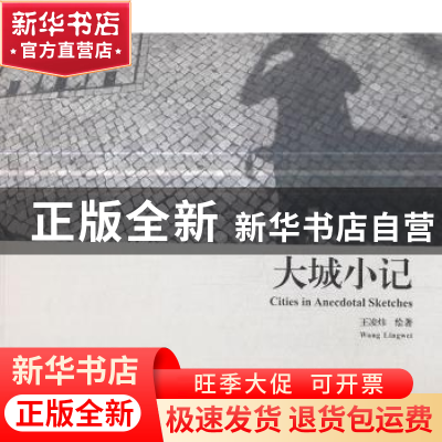 正版 大城小记 王凌炜 云南美术出版社 9787548928522 书籍