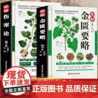 正版 伤寒论 张仲景正版+金匮要略 共两本中医临床丛书伤寒论杂病论中医四大经典名著自学入门古籍医学书中医基础理论知识