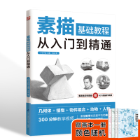 音像素描基础教程从入门到精通王金