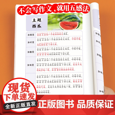 小学语文扩句法每日晨读看图写话一二三年级五感法写作文60天优美句段篇积累好词好段好句337优美句子大全仿写扩充练习一看就