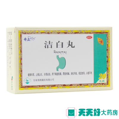 奇正洁白丸20丸水蜜丸藏药健脾和胃止痛止吐消化不良胃脘疼痛