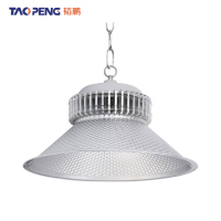 韬鹏 工矿灯 300W 个
