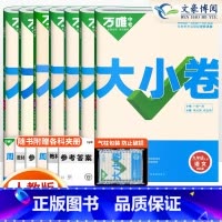 [人教版全套7本]九年级全一册 九年级/初中三年级 [正版]2025版万唯大小卷九年级全一册上册下册语文数学英语物理化学