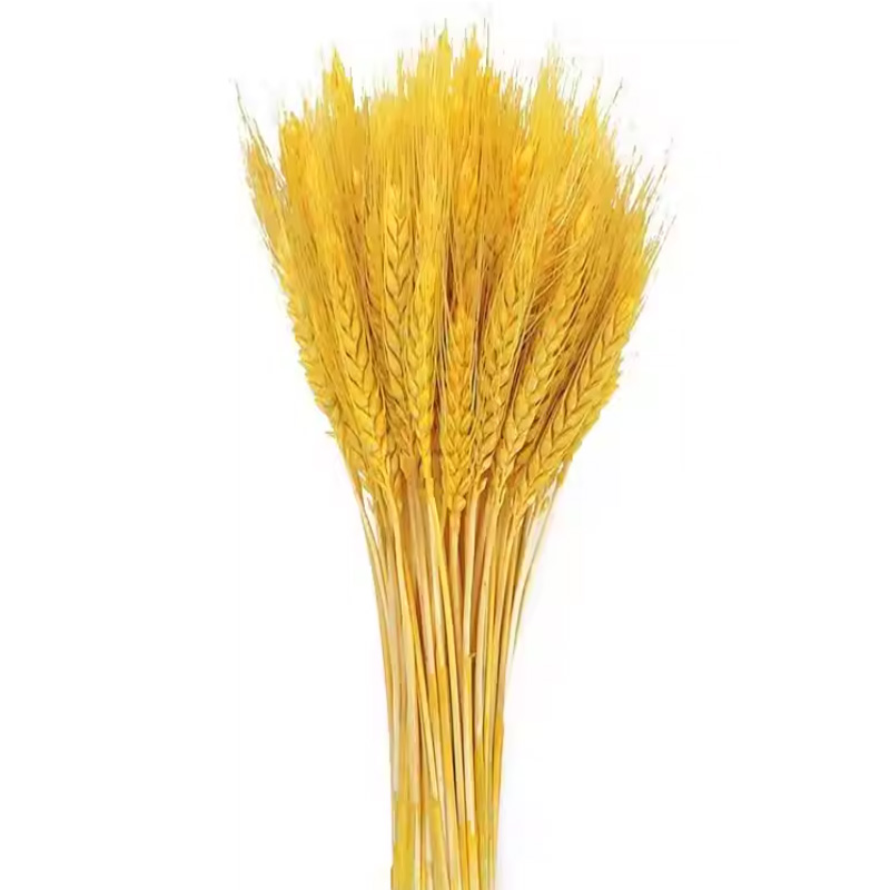 锦瑞星装饰仿真花摆件麦穗干花F3-A个