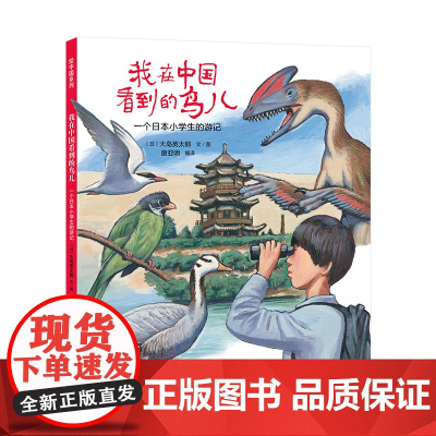 我在中国看到的鸟儿