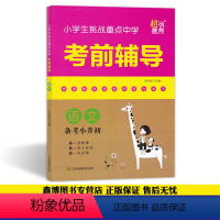 [正版]小学生挑战重点中学考前辅导 语文备考小升初超能学典 2021小升初系统总复习小升初复习资料江苏凤凰美术出版社