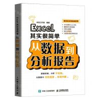 [N]Excel其实很简单(从数据到分析报告)-9787115555229