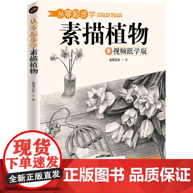 从零起步学素描植物