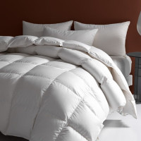 广临 蚕丝被 GLCSB-02