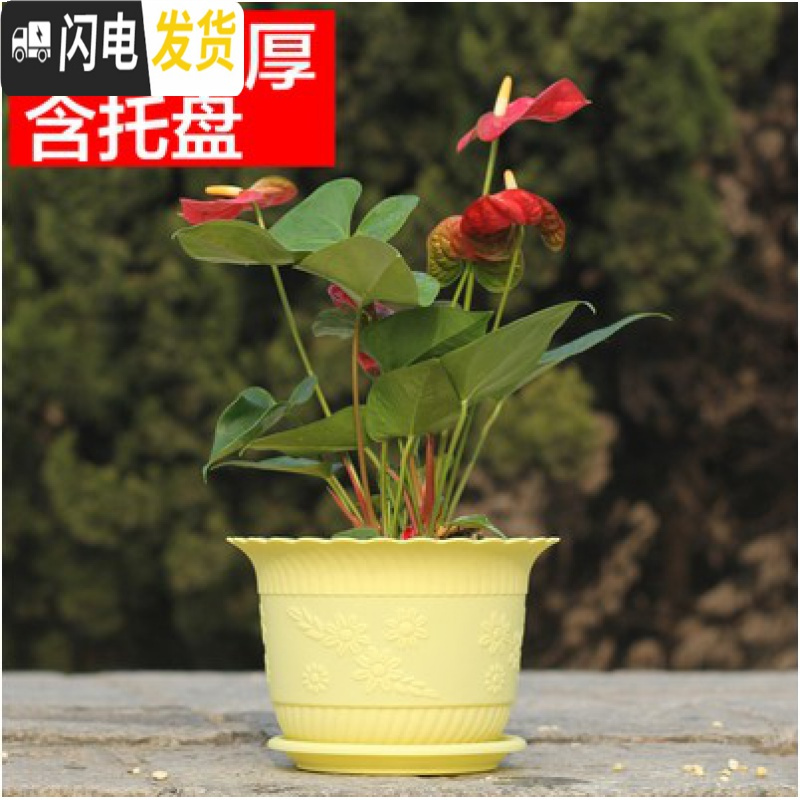 三维工匠波浪花边莲花盆塑料树脂仿陶型大花盆多肉绿萝花盆可水培送托盘 黄色[开孔留言] 大号[口径23cm]7个花盆容器