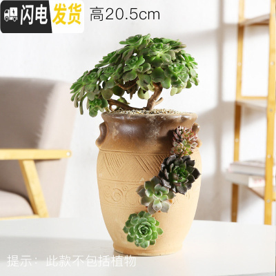 三维工匠创意个性多肉陶瓷花盆多孔多肉老桩拼盘花器多洞陶瓷法师老桩花盆 洞洞盆HZ265 大花盆容器