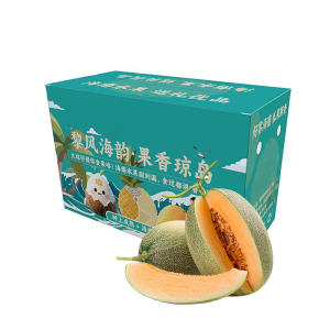 礼盒装[熊猫鸟]新鲜哈密瓜 净重7.5斤 2-4个 应季水果 新鲜甜瓜 鲜果