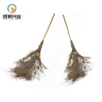 成英兴业 大竹扫把笤帚 20001000150mm个