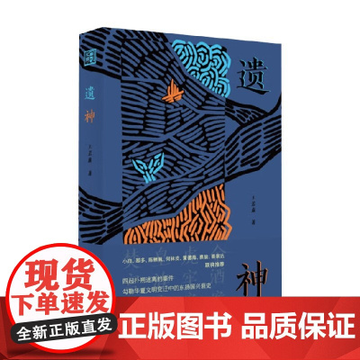 遗神 王若虚 著 侦探推理