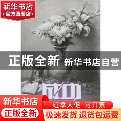 正版 静物素描 唐宏伟主编 西南师范大学出版社 9787562175308 书