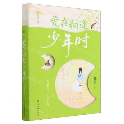 [N]爱在相逢少年时-9787554618936