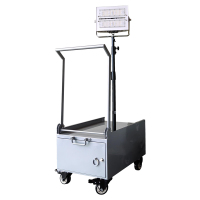 宝富睿光电 EBYK207-1K(DY) 220V 100W IP66 LED锂电池 户外电源抢修灯(计量单位:台)银色