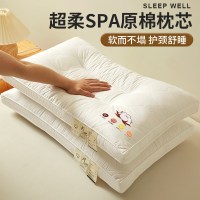 枕头护颈椎助睡眠单人学生宿舍男女家用成人一对装酒店枕芯