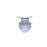 ZHEGUANRONG/浙冠荣 吸顶式led防爆工厂灯 GRD8183-20W 个