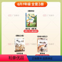 [全3册]六升七年级 [正版]2024河南天天共读快乐读书吧六升七年级 全3册 翡翠地 蝼蚁之城 砂粒与星尘 安徽少年