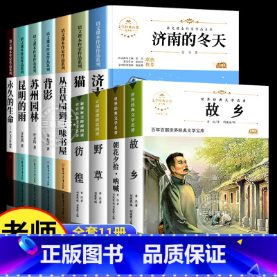 [全11册]六年级下册+鲁迅精选集 [正版]国一必读的课外书 小升初课外书必读书籍下册 适合小学六升国一初一看的课外读物