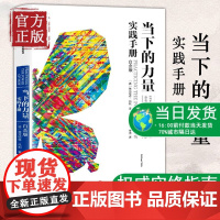 [正版书籍]当下的力量实践手册(白金版)托利著 华语心灵书