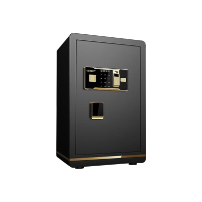 [理政]钢制保险柜 电子密码办公保险柜 金属防盗柜 档案资料保密柜