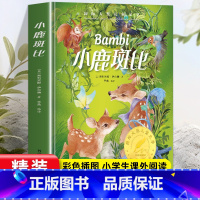 [精装硬壳]小鹿斑比 [正版]小鹿斑比课外书小学生课外阅读书籍三四五六年级课外书必读经典书目班主任老师推 荐外国儿童文学