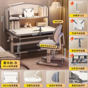 儿童学习桌书桌小学生家用作业写字课桌椅组合套装可升降