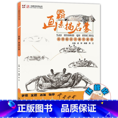画霸素描启蒙2019 [正版]画霸素描启蒙2019一线教学成辉周江从零起步兴趣学素描静物临摹范本自学基础入门动物步骤讲解