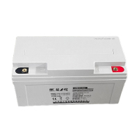 欧力特 阀控密封铅酸蓄电池 12V65Ah/6-GFM-65(含安装含线缆)