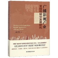 音像广播影视产业支柱转型发展研究魏文楷