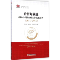 音像分析与展望任兴磊,谢军占,沈亚桂 主编