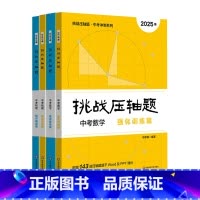 [全4册]中考数学+物理精读强化 初中通用 [正版]2025版!挑战压轴题中考数学物理精讲解读+强化训练篇全4册 初中数