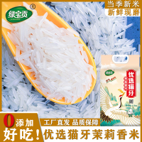 绿宝贡[新品上线]5斤装优选猫牙茉莉香米新米正宗农家长粒香优质大米南方大米