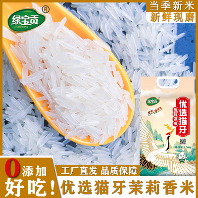 绿宝贡[新品上线]5斤装优选猫牙茉莉香米新米正宗农家长粒香优质大米南方大米