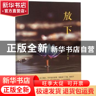正版 放下 李浩天 著 煤炭工业出版社 9787502068387 书籍