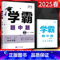 英语 九年级下 [正版]2025春 经纶学霸题中题九年级下册英语江苏版 初三英语同步练习册 九年级下英语学霸提优课时作业