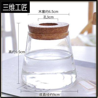 水培植物玻璃小花瓶透明多肉盆栽水养容器室内桌面插花创意摆件三维工匠火山瓶中等