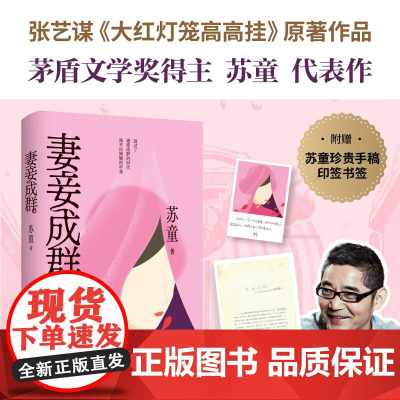 妻妾成群 苏童 著 小说