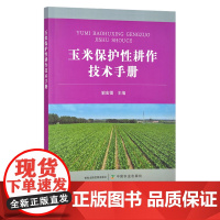 玉米保护性耕作技术手册 栽培技术 苞谷 棒子 玉米穗 解宏图 30288