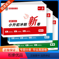 [备考2024 含真题]语文+数学+英语 小学升初中 [正版]2024版小升初冲刺新卷语文数学英语人教版五六年级下册小学