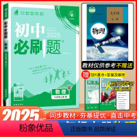 物理 九年级/初中三年级 [正版]2025人教版初中必刷题九年级上册物理同步练习册理想数真题培优专项训练初三复习教辅资料