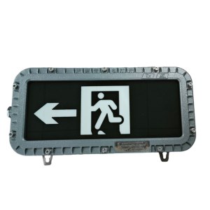 华荣(WAROM)HR-BLJC-1LROEI0.5W-Ex(GW)集中电源集中控制型防爆消防应急标志灯(单位:盏)