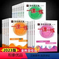 [套装8册]语/数/英/物 普通版+增强版 八年级下 [正版]2024春华师大一课一练8/八年级上册下册语文数学英语物理
