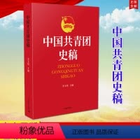 [正版]中国共青团史稿 中国青年出版社 新时代团干部用书共青团历史党团史知识学习团员手册中国青年运动一百年历史9787
