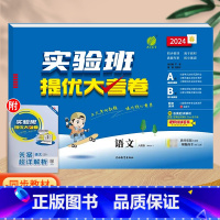 语文(人教版)。 四年级下 [正版]实验班提优大考卷一年级二年级三四五六年级上册语文数学英语人教版北师大苏教下册期中期末